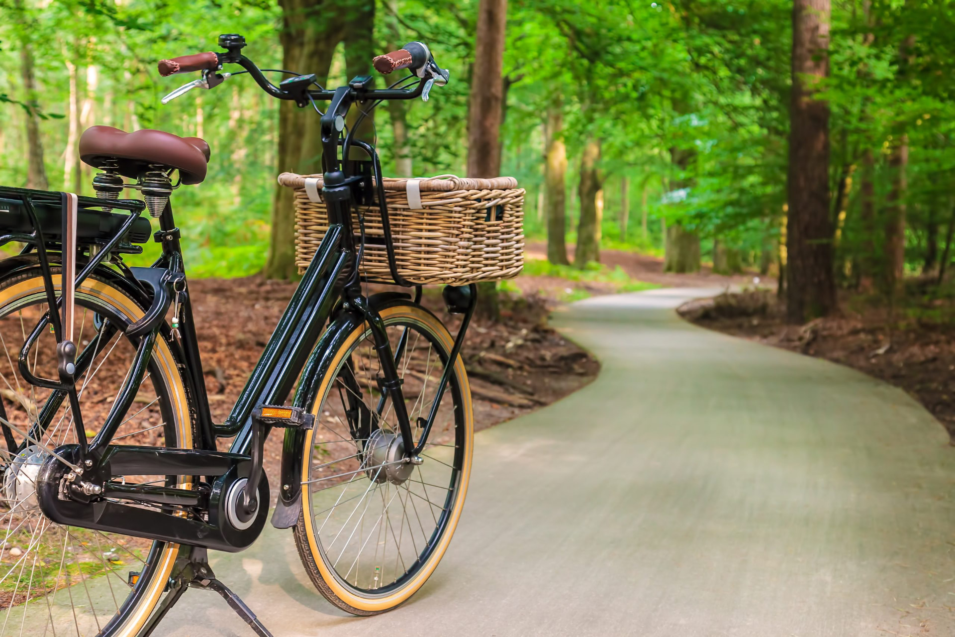 A bicycle with a basket parked beside a wooded riverside path